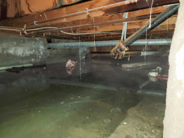 24/7 water damage repair in Eagan, MN