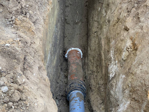 Best Flood damage cleanup  in Eagan, MN