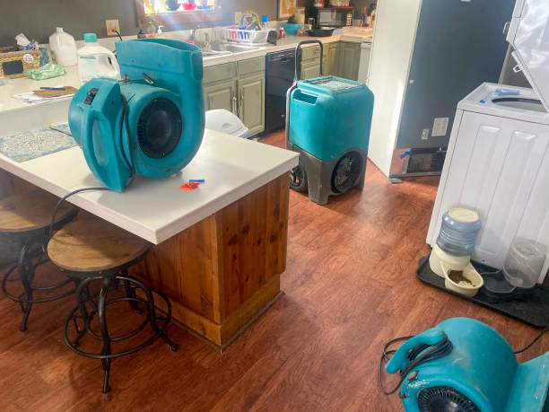 Water damage restoration mold remediation in Eagan, MN