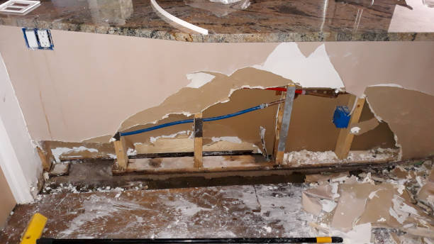 Best Water damage repair service  in Eagan, MN