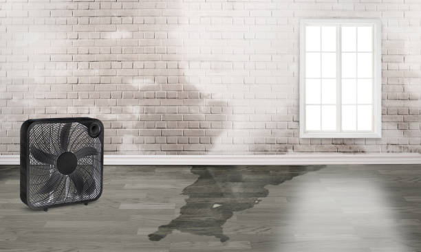 Sewage cleanup and water damage restoration in Eagan, MN