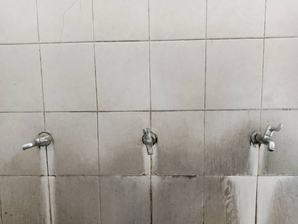 Best Mold removal after water damage  in Eagan, MN