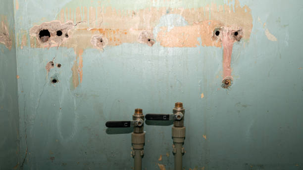 Best Emergency water damage restoration  in Eagan, MN