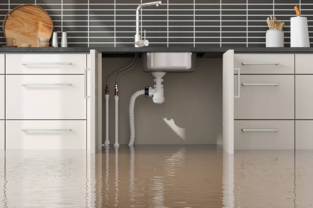 Best Water damage restoration near me  in Eagan, MN