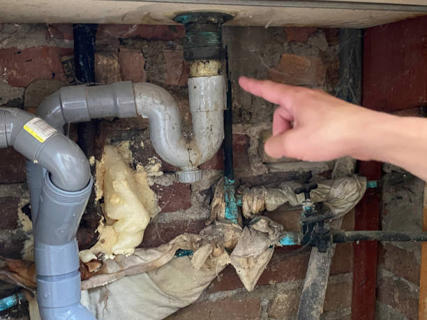 Best Professional water damage repair  in Eagan, MN
