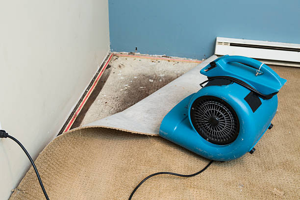 Best Water damage mitigation services  in Eagan, MN